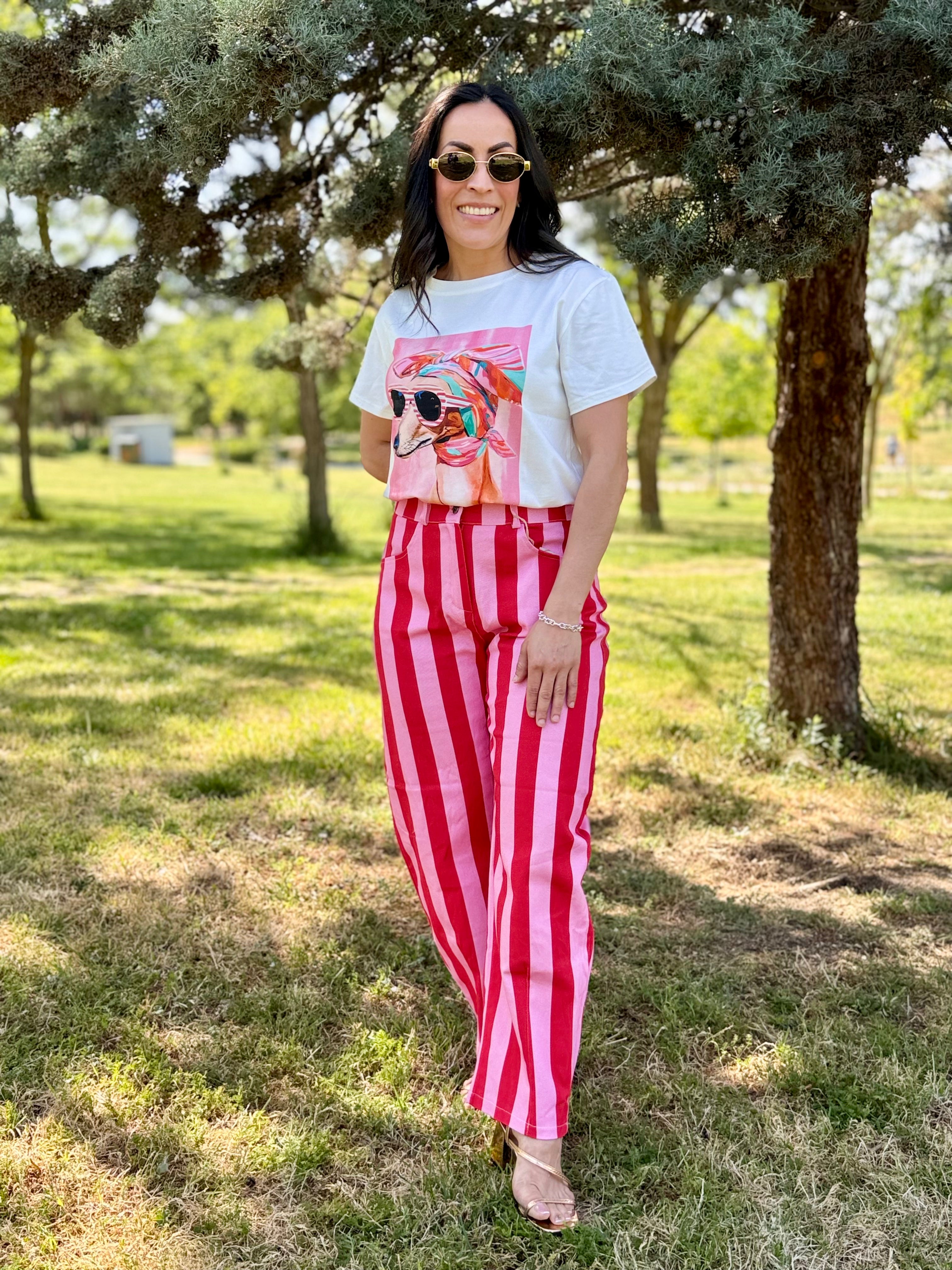 Camiseta Pop Dog